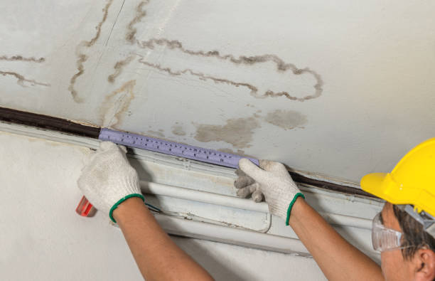 Reliable Water Damage Restoration contractor in Coopersville, MI by Local Water Damage Repair
